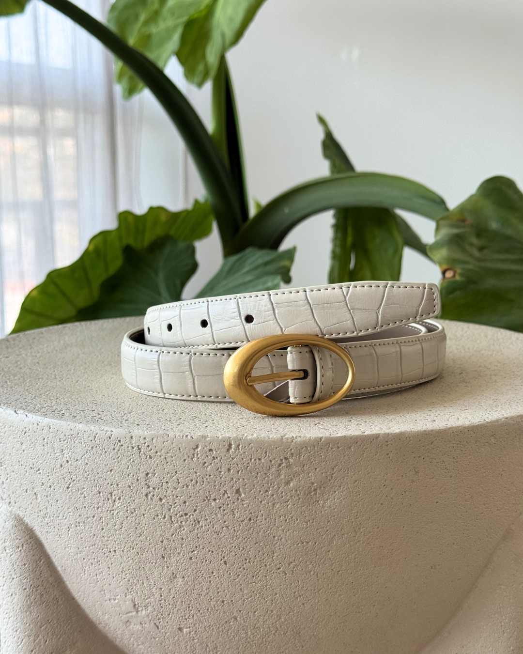 THE SOFT IVORY