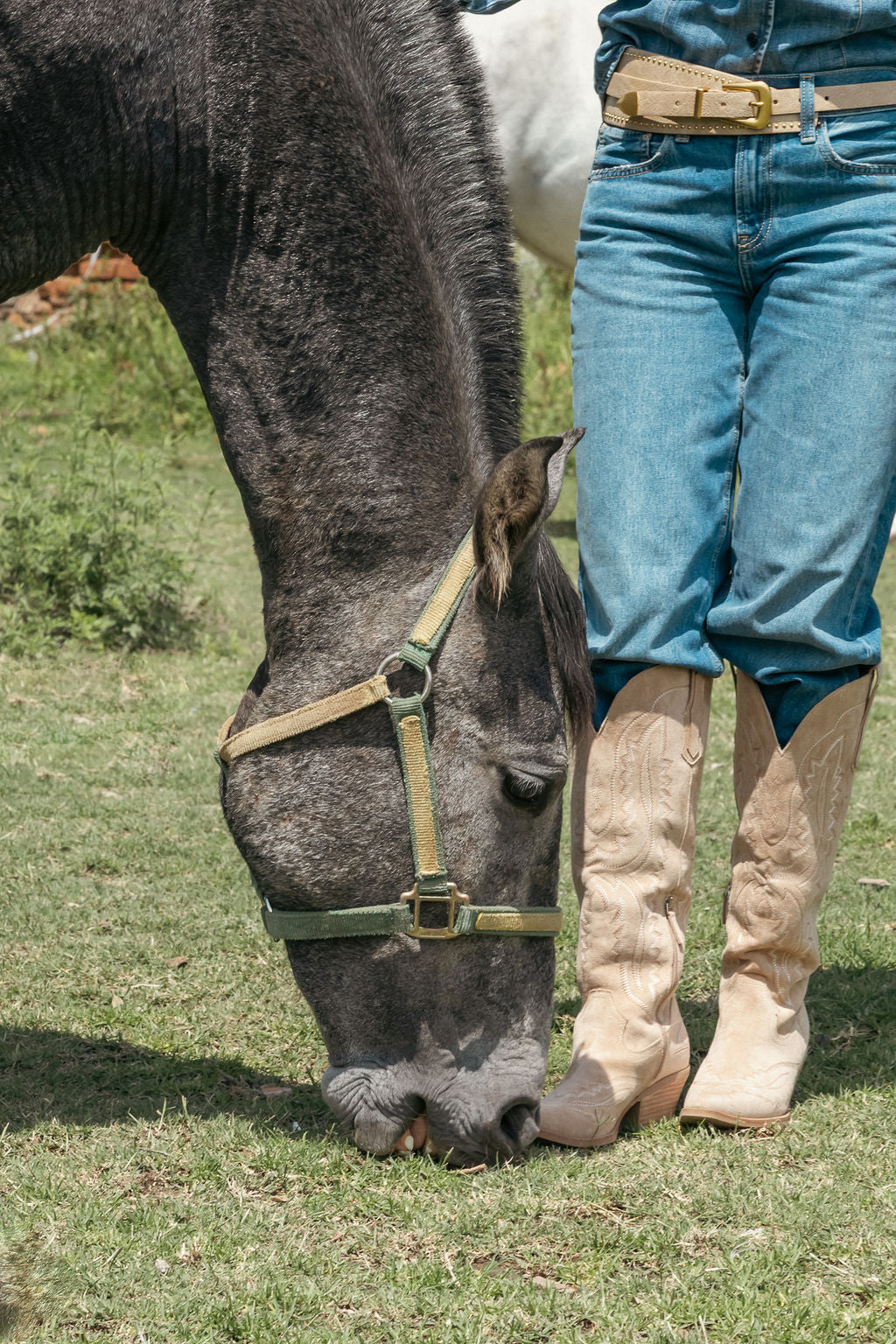NASHVILLE BEIGE BOOT